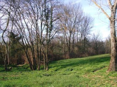 Lots/Land For sale in PISA, Italy